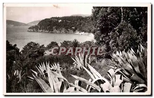 Cartes postales Environs du Lavandou Le Royal