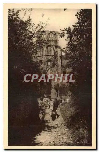 Cartes postales Abbaye De Hambye Le Sentier vers l&#39Abside Vache