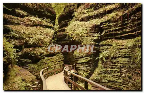 Cartes postales moderne Moss Chamber In Cold Water Canyon Wiconsin Dells