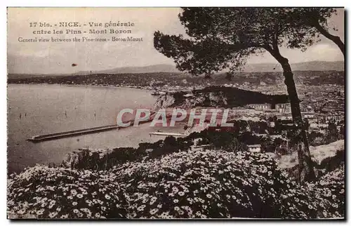 Cartes postales Nice Vue Generale entre les Pins Mont Boron