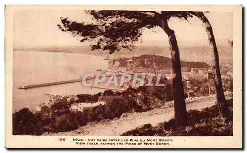 Cartes postales Nice Vue Prise Entre Les Pins Du Mont Boron