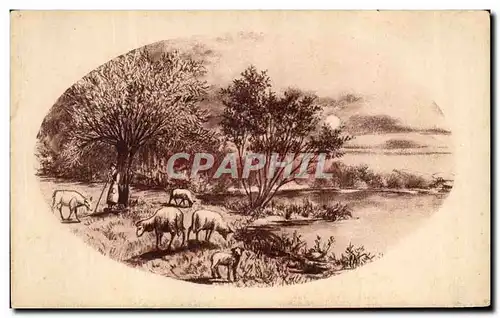 Cartes postales Bergere et moutons