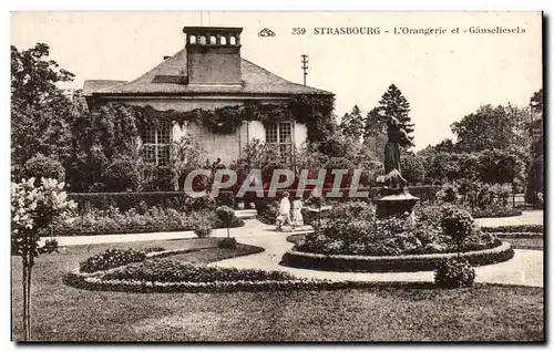 Cartes postales Strasbours L'Orangerie et Ganseliesel