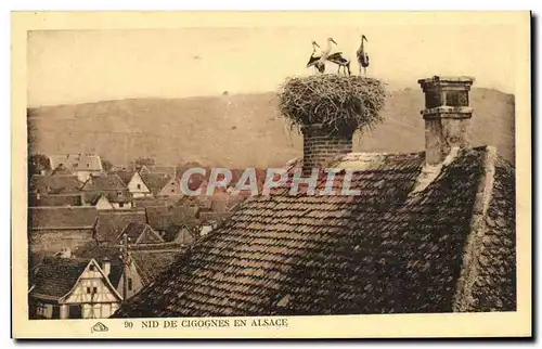 Cartes postales Nid De Cigognes En Alsace