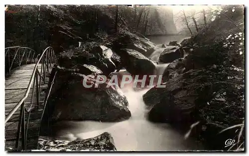 Cartes postales moderne Allevard Les Bains La Passerelle et le Bout du Monde