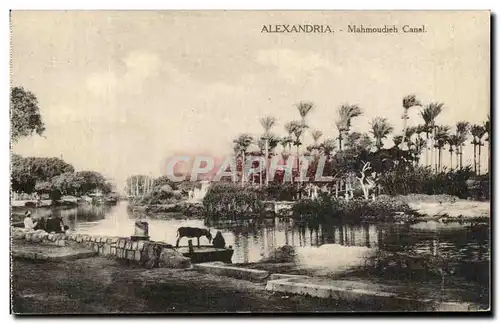 Cartes postales Alexandria Mahmoudieh Canal Egypte