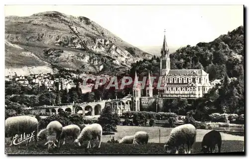 Cartes postales moderne Lourdes La Basilique Et Le Pic Du Jer