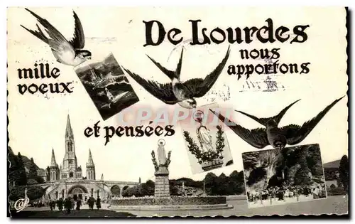 Cartes postales moderne De Lourdes Hirondelles