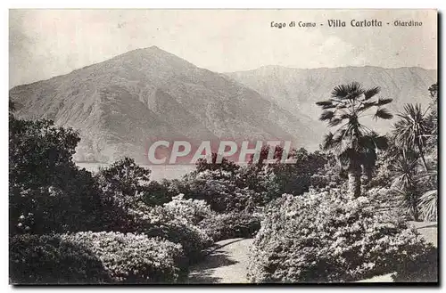 Cartes postales Lago di Como Villa Carlotta Giardino