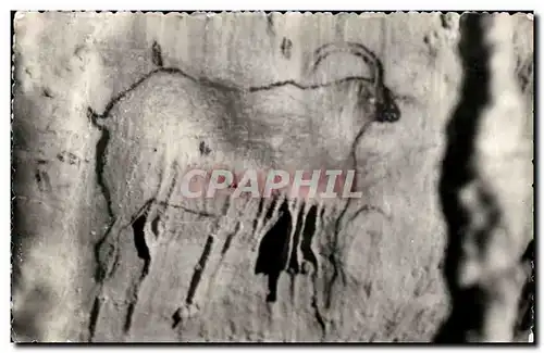 Cartes postales moderne Gourdon en Guercy Grottes de Cougnac Grand bouquetin