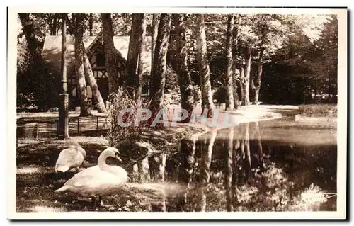 Cartes postales Vittel Piece D&#39Eau Dans Le Parc Cygne