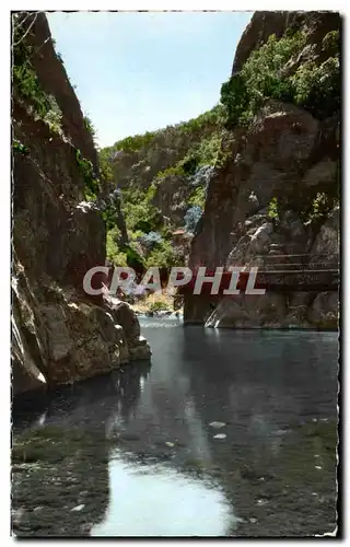 Cartes postales moderne Amelie Les Bains Les Gorges Du Mandony