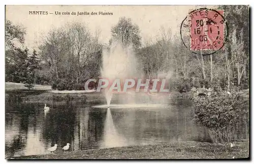 Ansichtskarte AK Nantes Un Coin du Jardin des Plantes