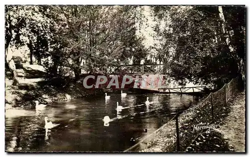 Cartes postales Chalons sur Marne du Jard Les cygne