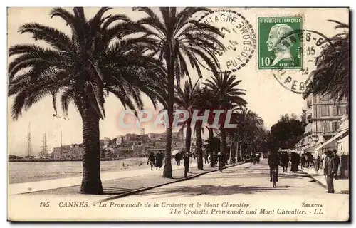 Cartes postales Cannes La Promenade De La Croisette Et Le Mont Chevalier