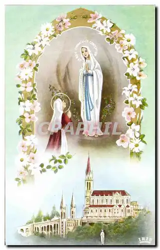 Cartes postales Loudres L&#39Apparition et La Basilique