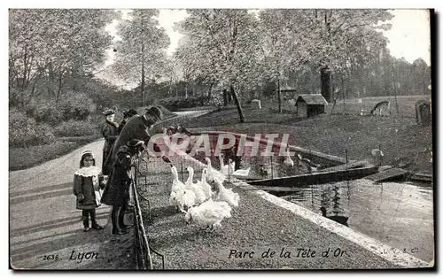 Cartes postales Lyon Parc de la Tete d&#39Or