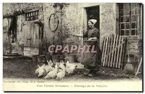 REPRO Une Ferme Bressane Elevage de la Volaille