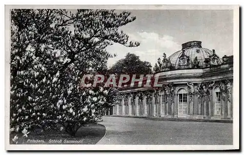 Cartes postales Potsdam Schloss Sanssouci