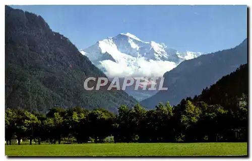 Ansichtskarte AK Intertaken Jungfrau