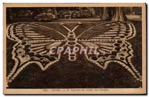 Cartes postales Rouen Le Papillon du Jardin des Plantes