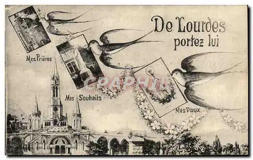 Cartes postales De Lourdes Portez lui Hirondelles