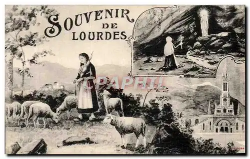 Cartes postales Souvenir De Lourdes Moutons