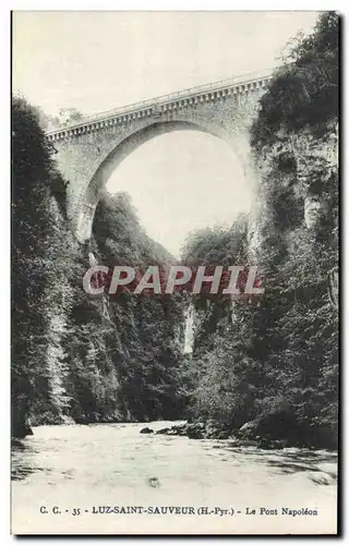 Cartes postales Luz Saint Sauveur Le Pont Napoleon