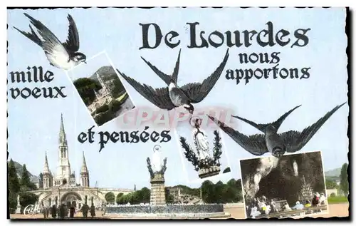 Cartes postales De Lourdes Nous apporfons Mille Doeux ef Pensees Hirondelles