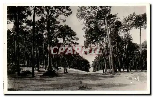 Cartes postales Arcachon Les Dunes De Ville D&#39Hiver