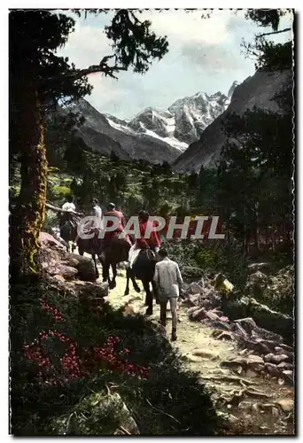 Cartes postales moderne Cauterets Sur le chemin du Lac de Gaube a dos de mulet