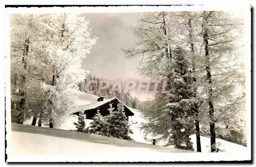 Cartes postales La Prafandaz Melezes Givres Suisse