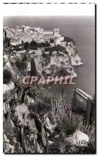 Cartes postales Principaute De Monaco Le Rocher Vu du Jardin Exotique