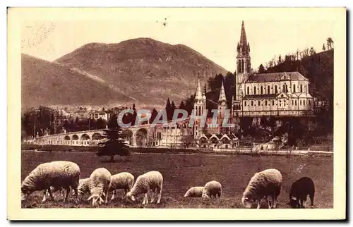 Ansichtskarte AK Lourdes La Basilique et le Pic du Jer Moutons