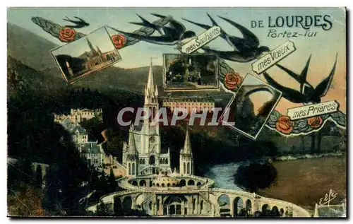 Cartes postales De Lourdes Hirondelle