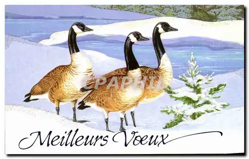 Cartes postales moderne Meilleurs Voeux Canards Oies sauvages oiseaux