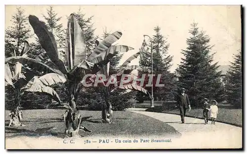 Cartes postales Pau Un Coin du Parc Beaumont