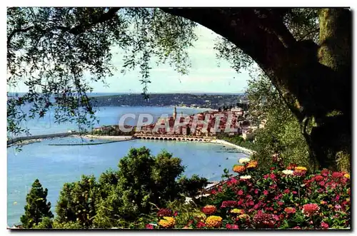 Cartes postales moderne Menton Echappee entre les fleurs et les oliviers