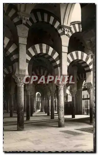 Ansichtskarte AK Cordoba Mezquita Catedral Columnas