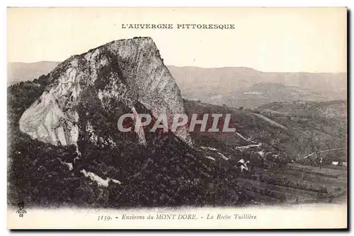 Ansichtskarte AK L&#39Auvergne Pittoresque Environs du Mont Dore La Roche Tuilliere