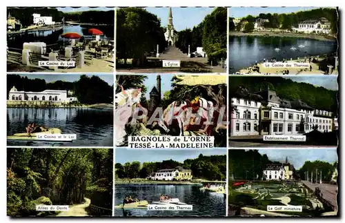 Cartes postales Bagnoles de L'Orne Tesse La Madeleine