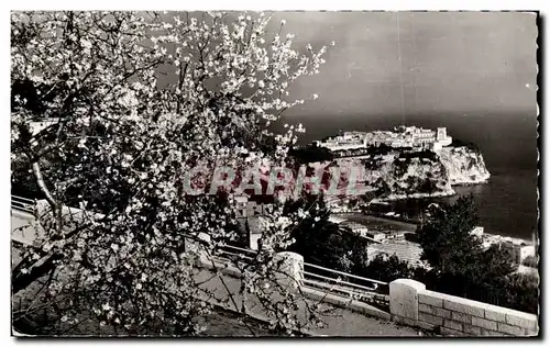 Cartes postales Monaco est tout en fleurs ses parfums grisent nos coeurs