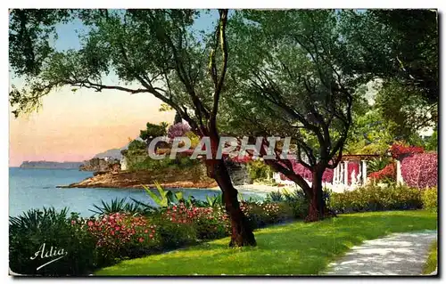 Cartes postales La Cote D&#39Azur Jardins au bord de la Mer