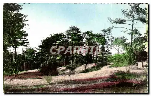 Cartes postales La Cote d&#39Opale Le Touquet Paris Plage