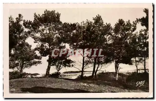 Cartes postales Saint Brevin I&#39Ocean La Mer a travers les Pins