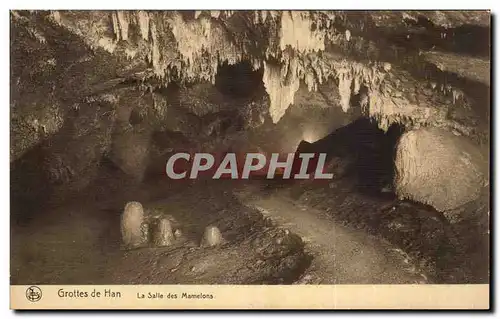 Ansichtskarte AK Grottes de Han La Salle des Mamelons