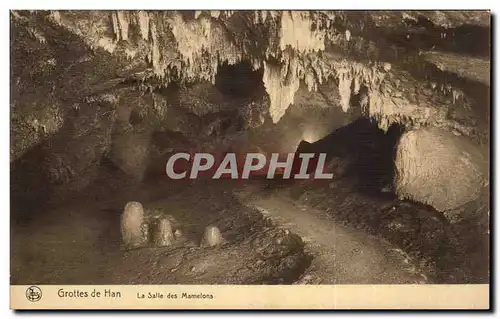 Cartes postales Grottes de Han La Salle des Mamelons
