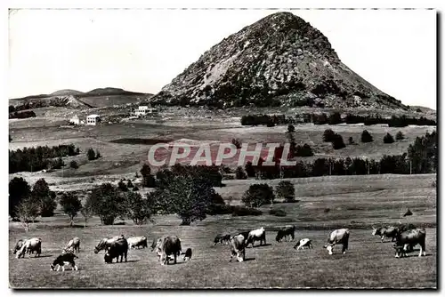 Ansichtskarte AK Paysages Du Vivarais Le Mont Gerbier De Joncs