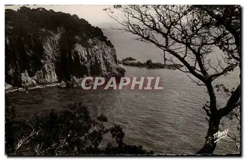 Cartes postales Giens La Pointe du Mort