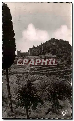 Cartes postales Hyeres Palmiers Le Chateau